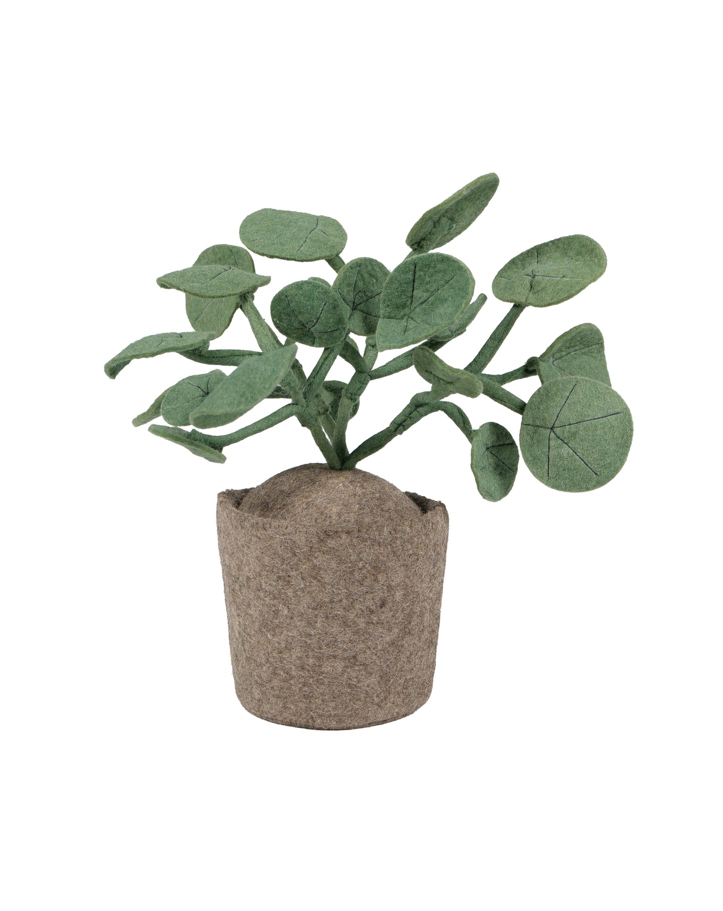 KidsDepot planta Pileo Pepero - Verde