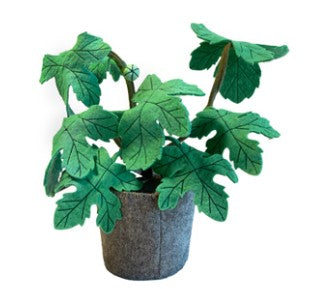 KidsDepot Higuera (Ficus carica) - verde
