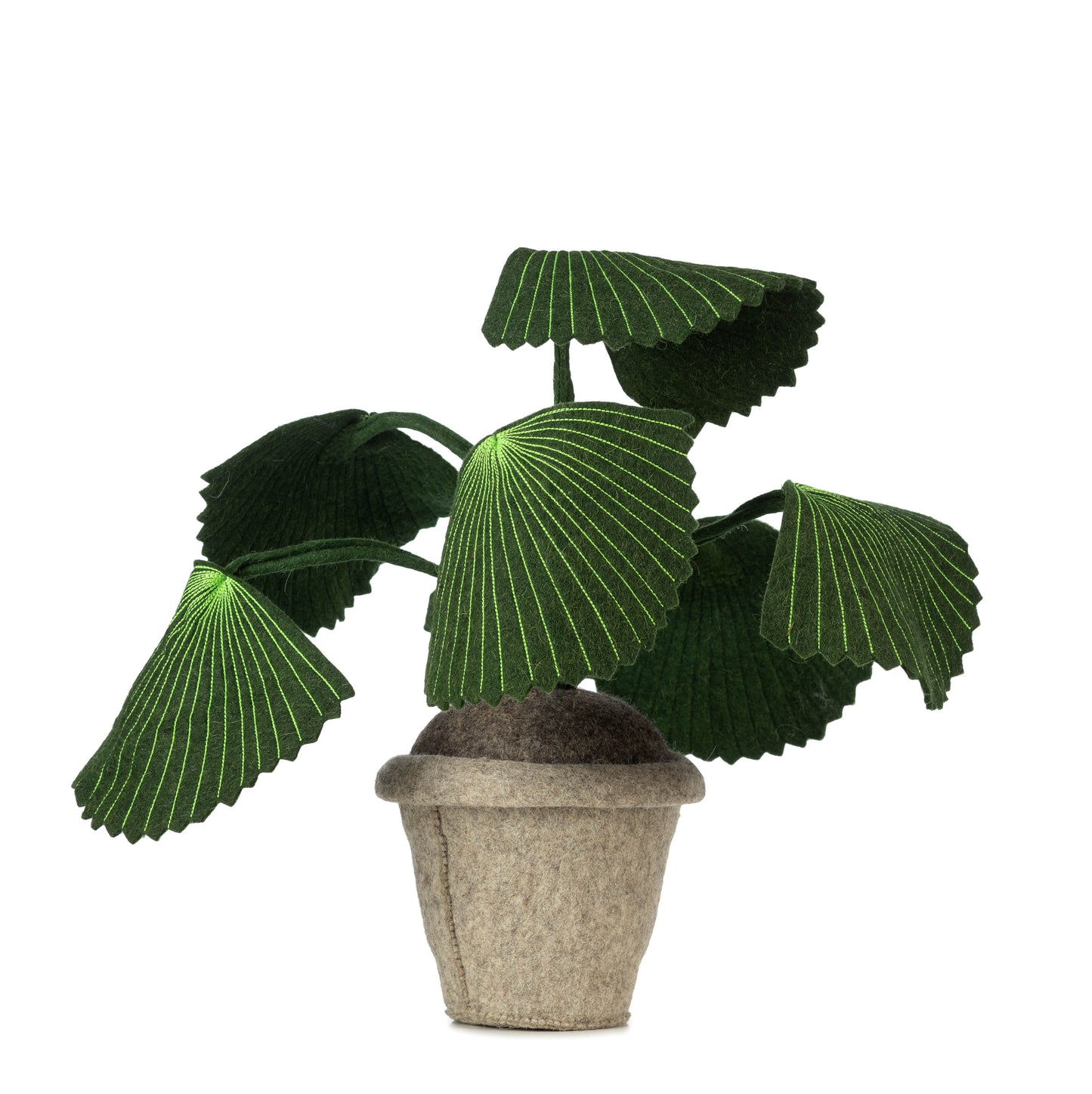 KidsDepot planta Pebbe - Verde
