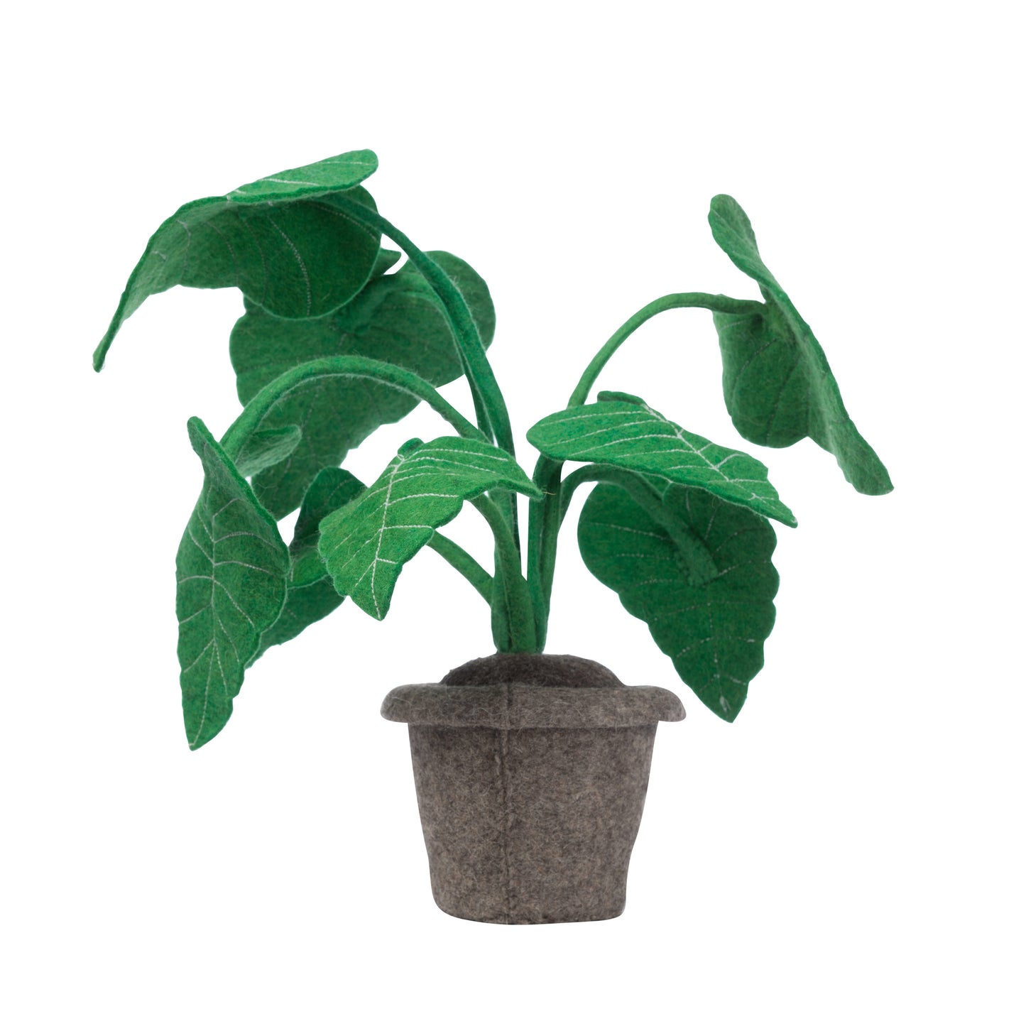 KidsDepot macetero Alocasia - Verde