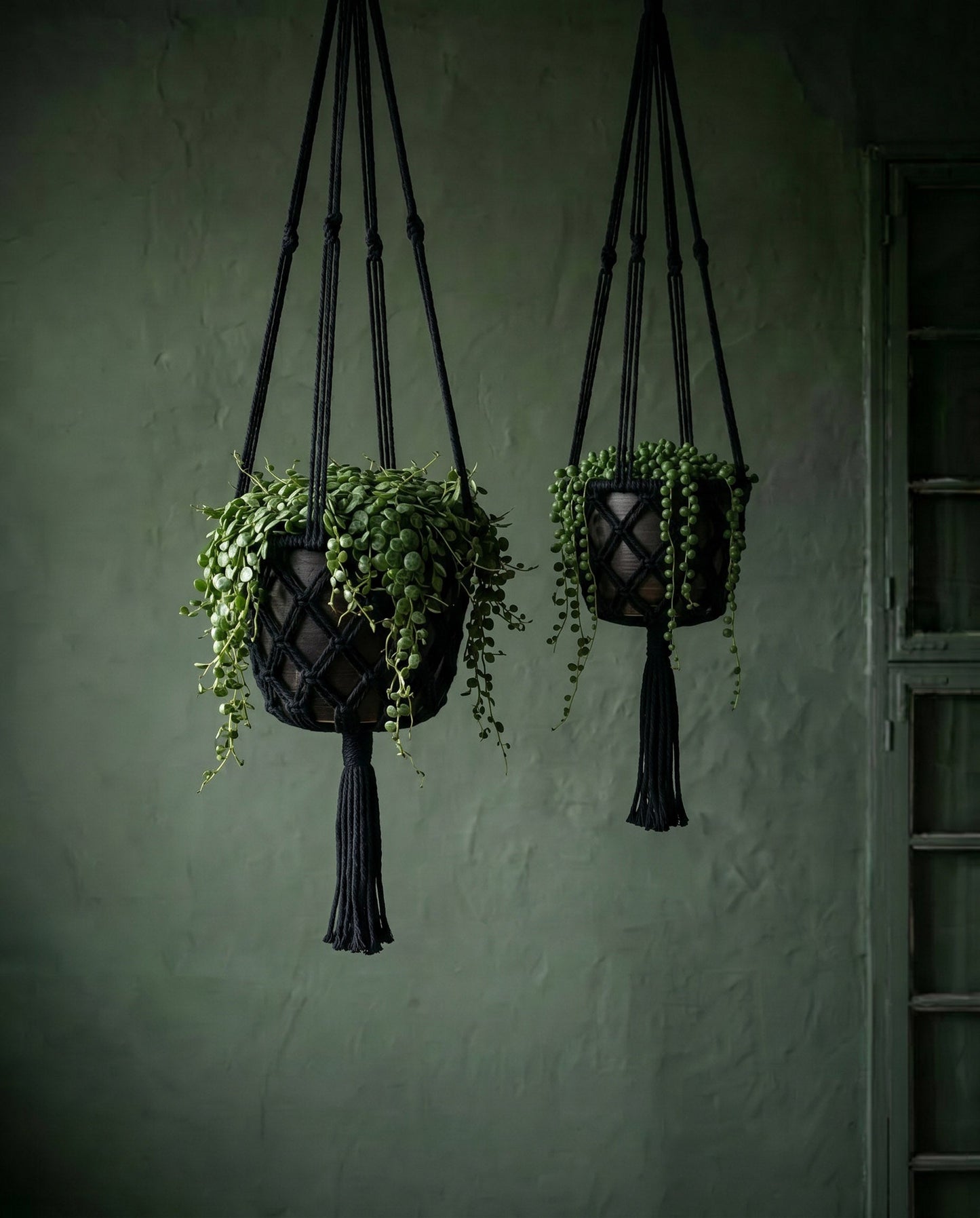 El colgador de macramé para plantas - negro - M