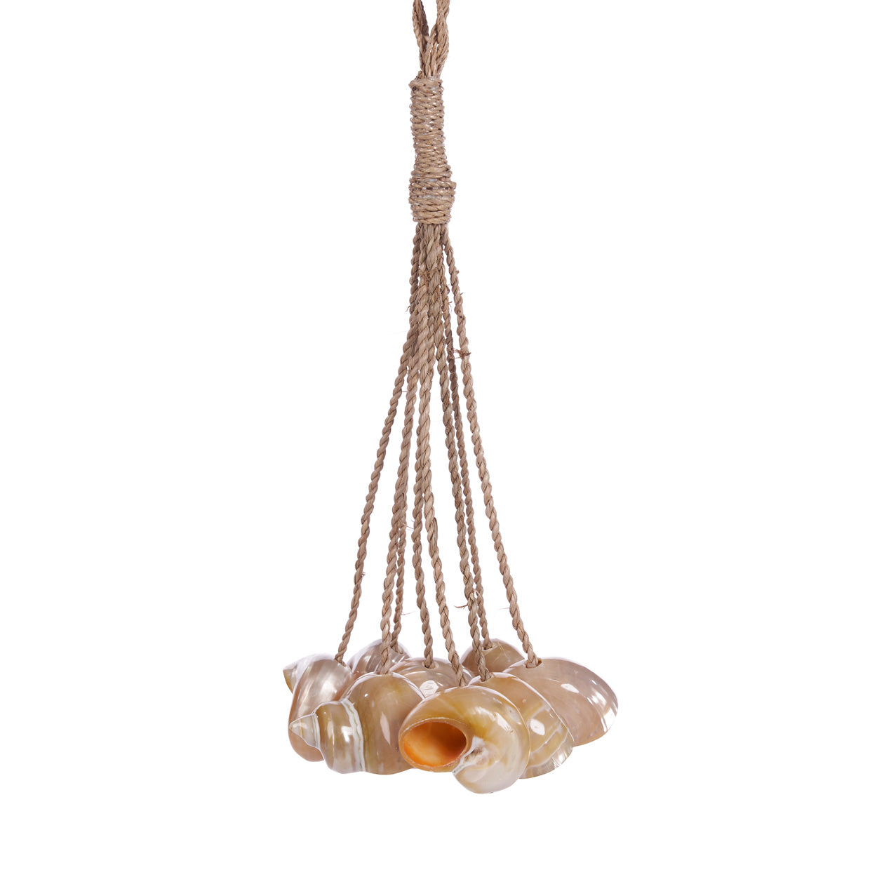 Brocha de concha - natural