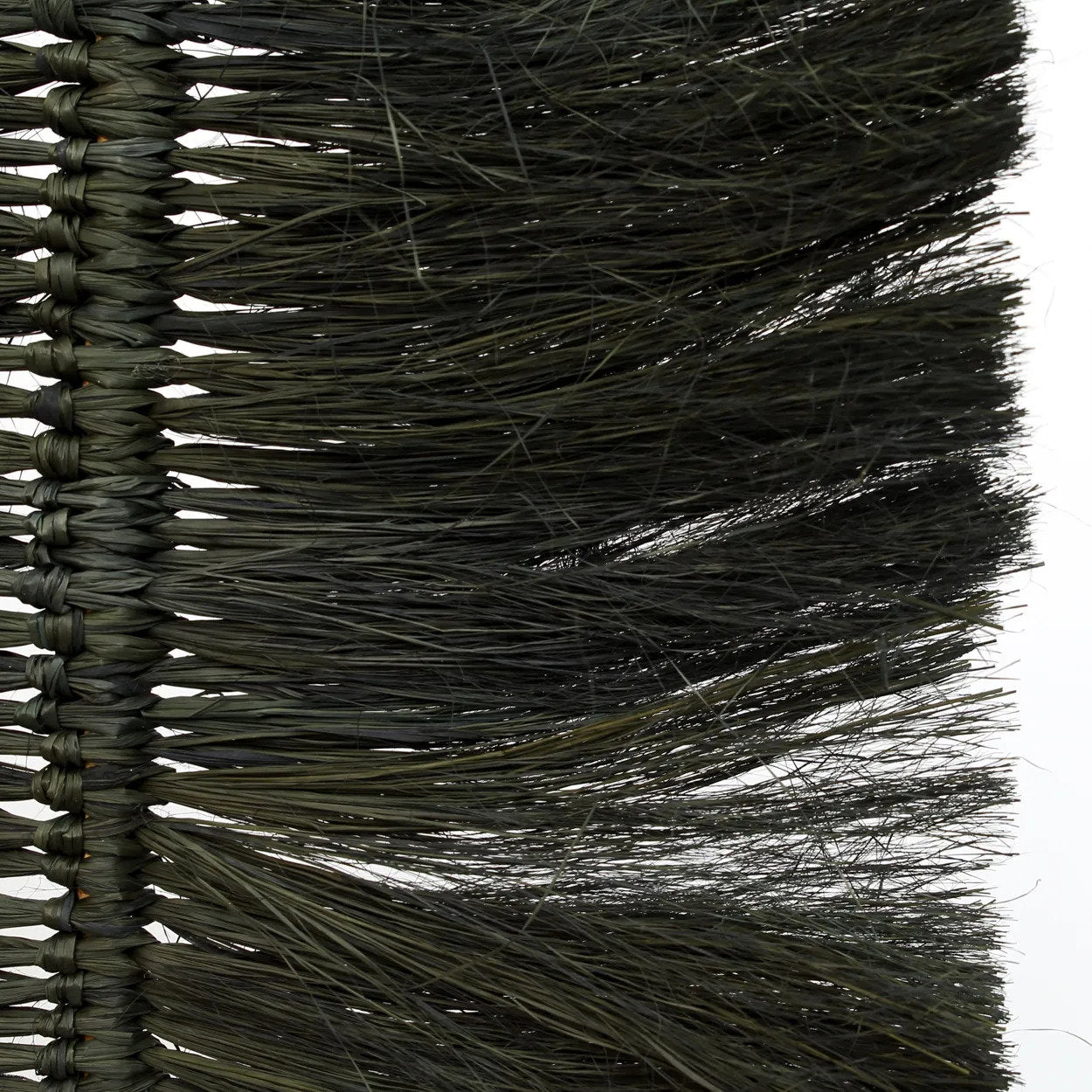 La Palmera de Rafia - Negra
