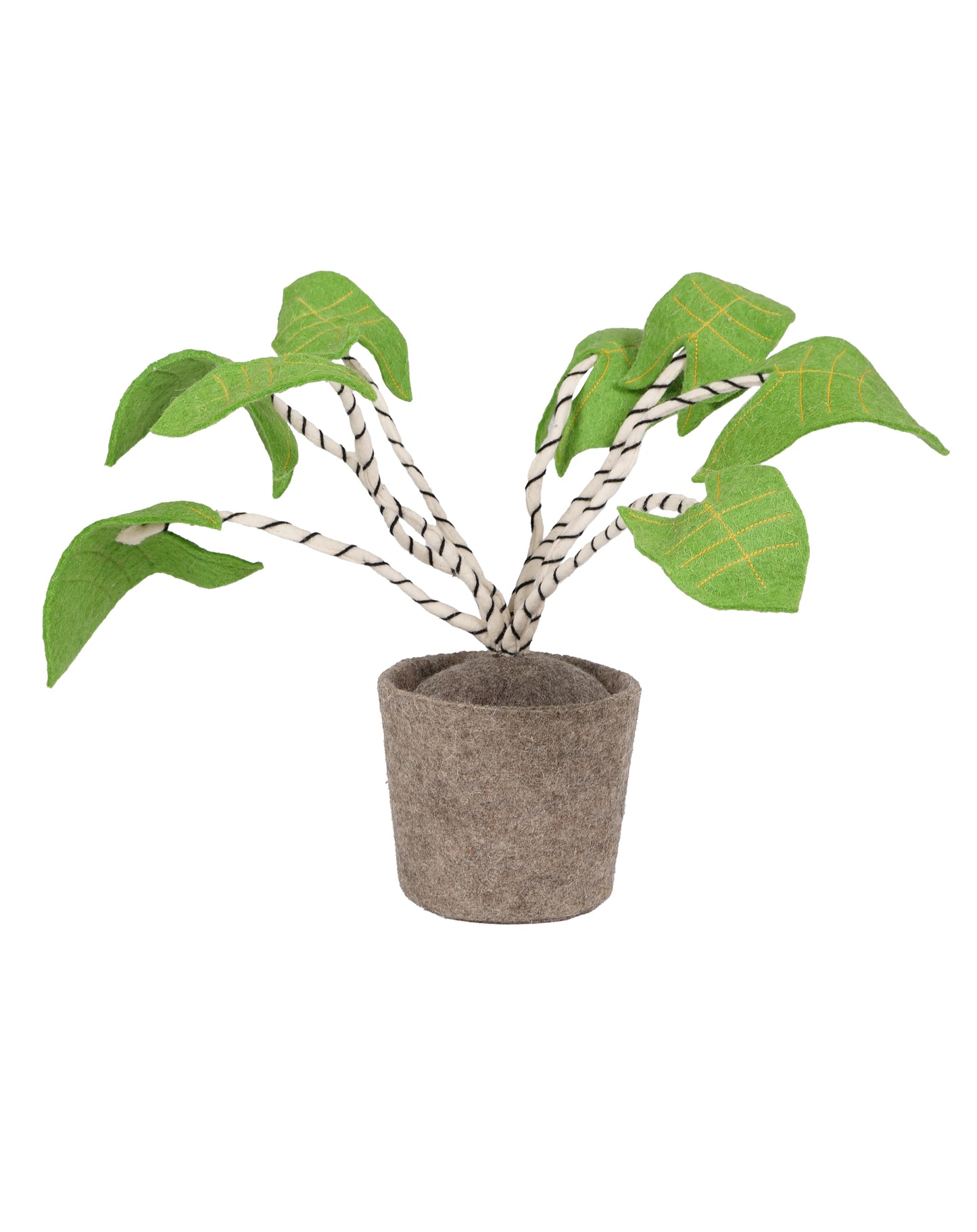 KidsDepot maceta Zebrina - verde