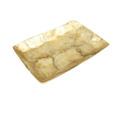 La fuente dorada de conchas marinas