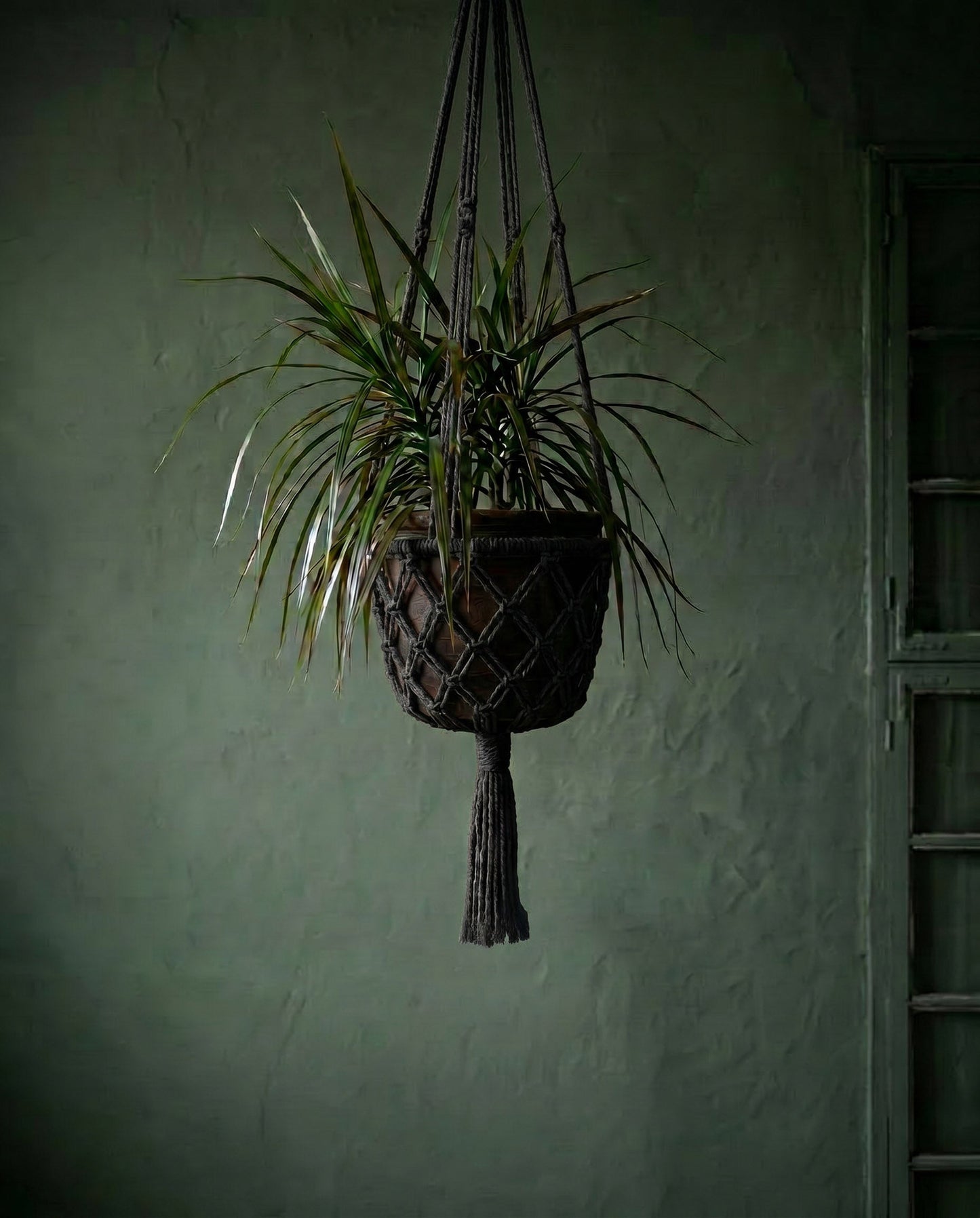El soporte de macramé para plantas - Negro - G
