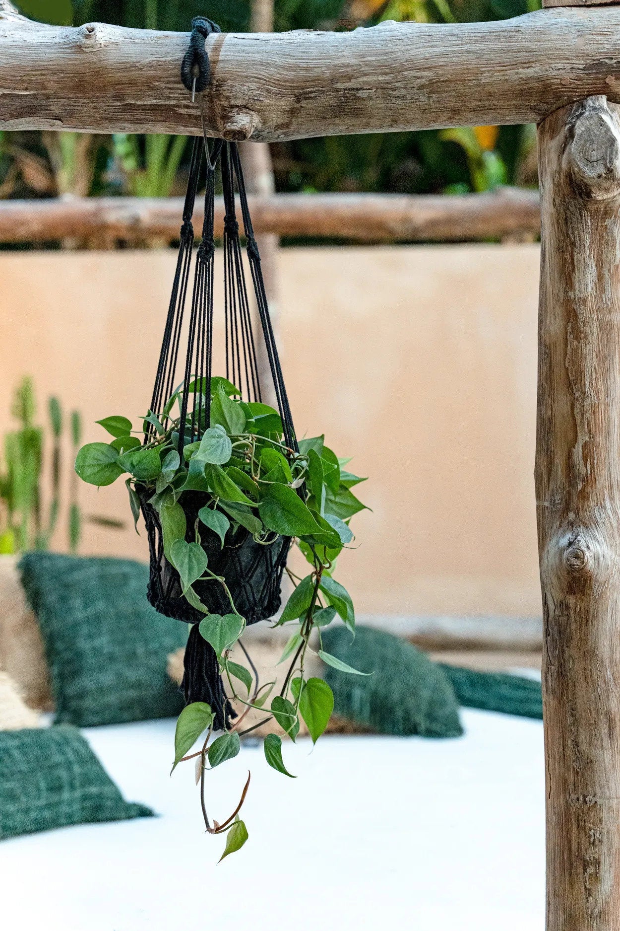 El soporte para plantas de macramé - negro - S