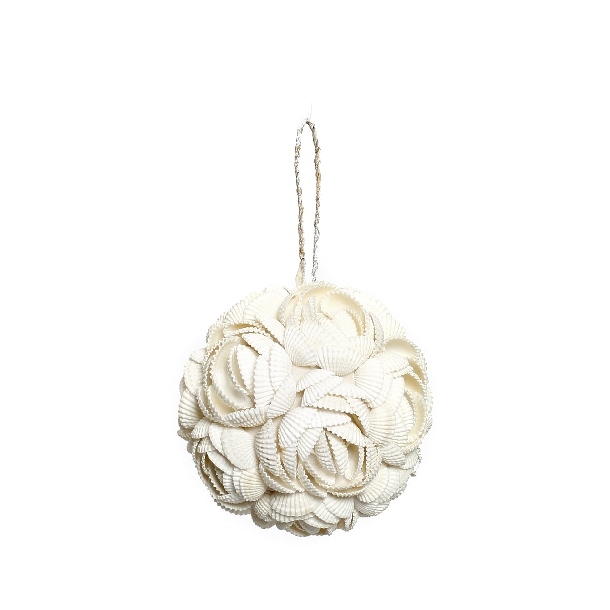 La concha de rosa - Blanca - M