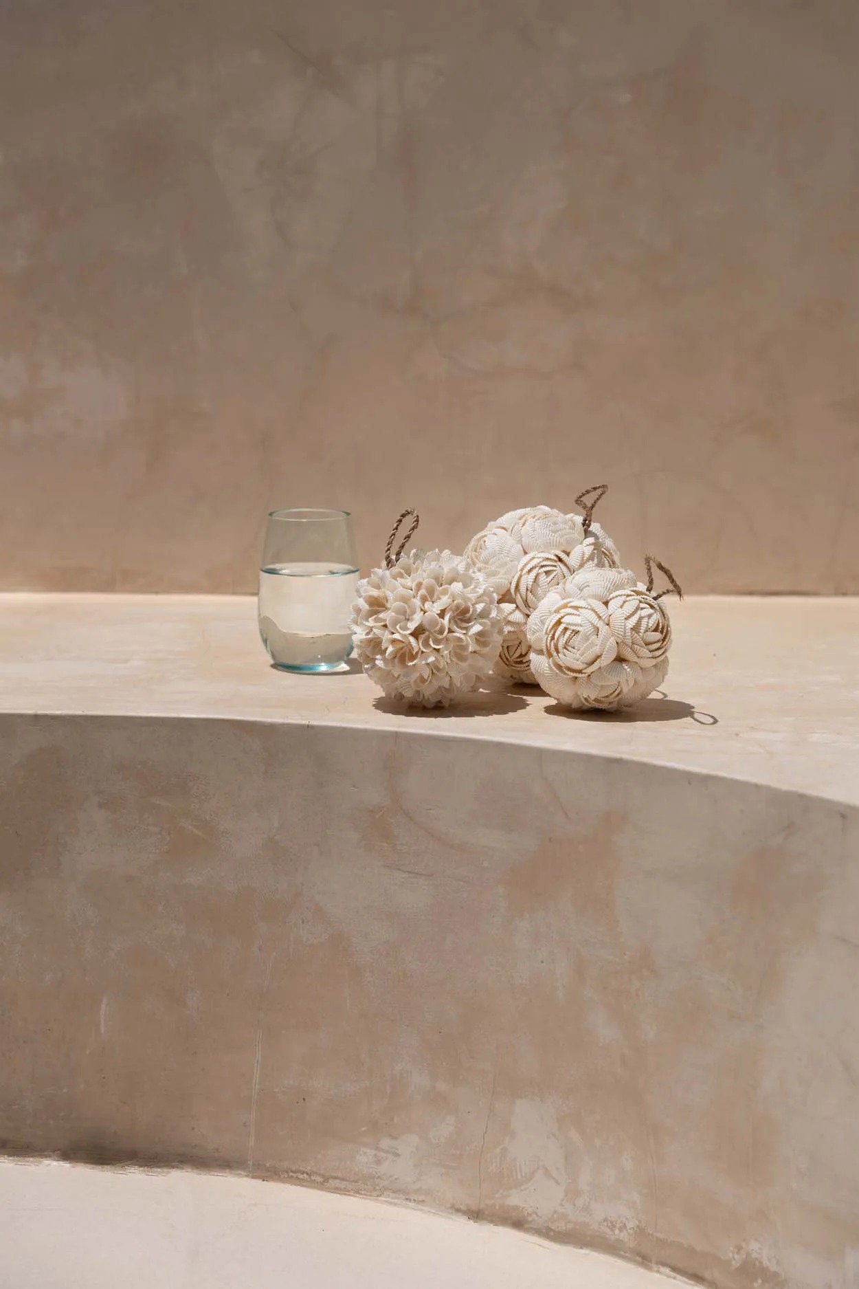 La concha de rosa - Blanca - M