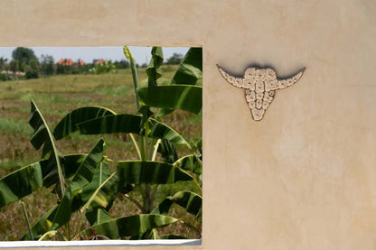 La Concha de Stier - Blanca