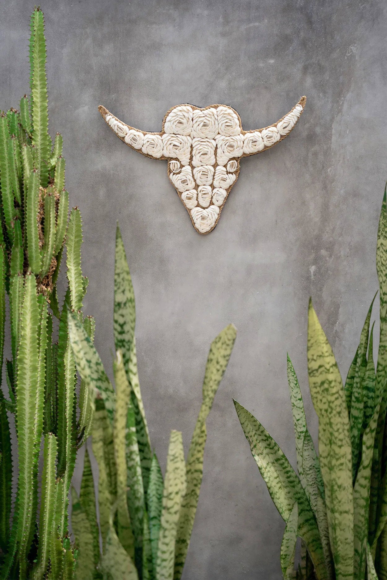 La Concha de Stier - Blanca