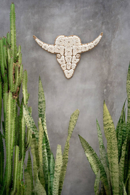La Concha de Stier - Blanca