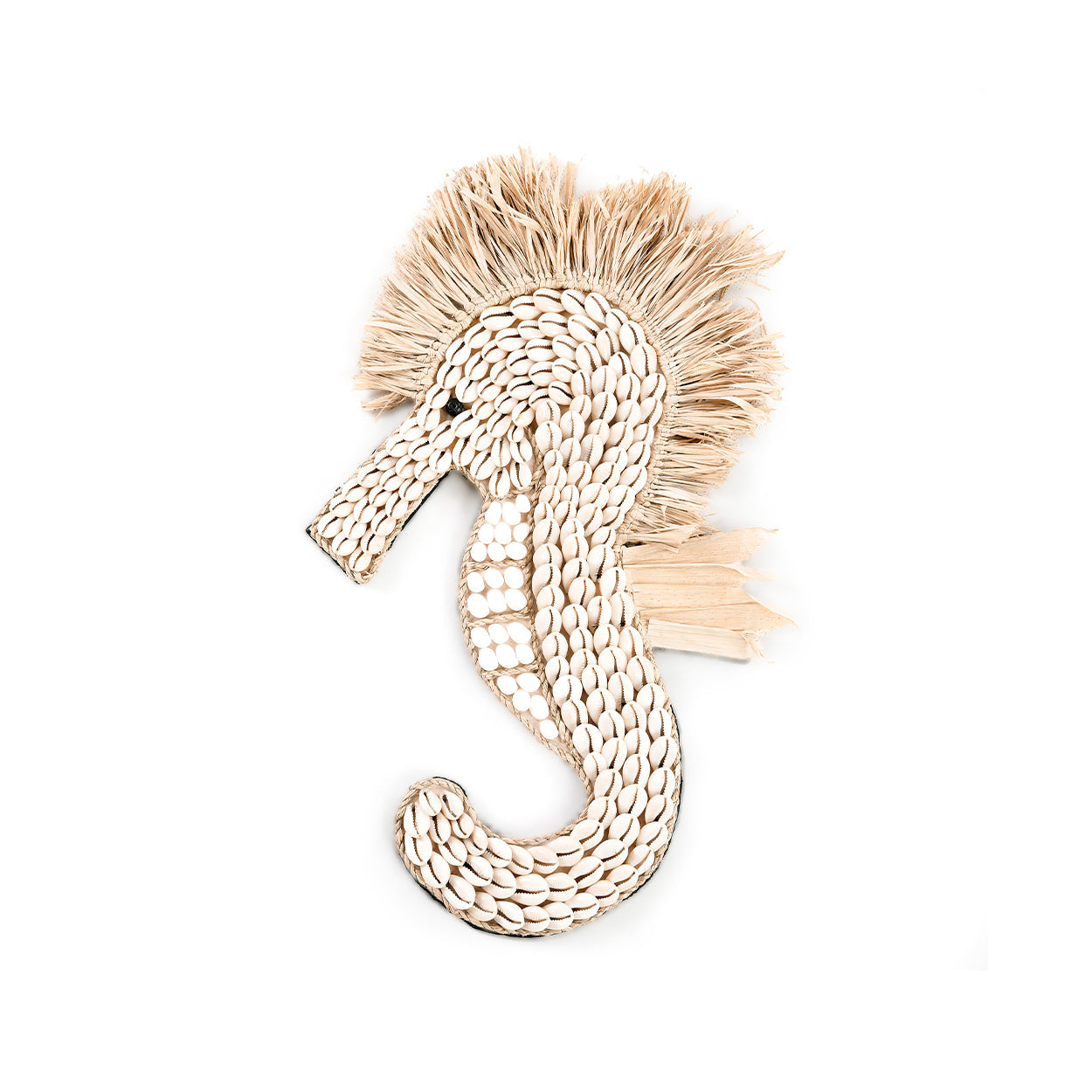 El caballito de mar de concha - blanco