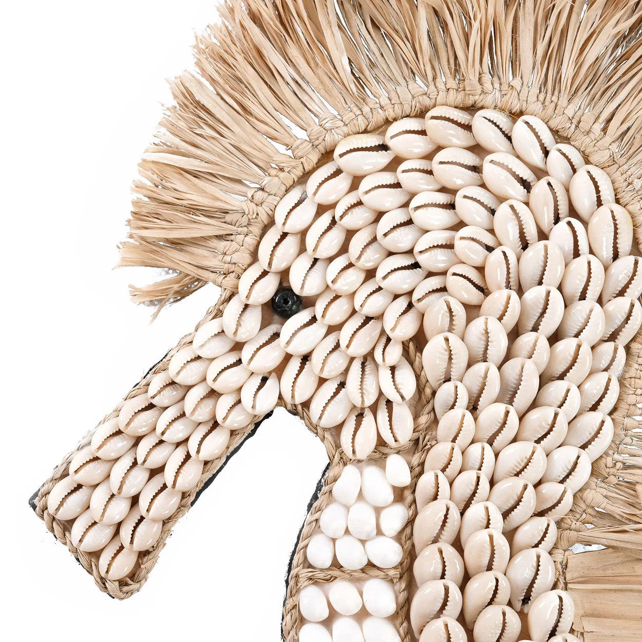 El caballito de mar de concha - blanco