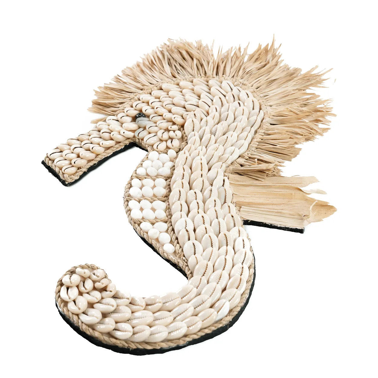 El caballito de mar de concha - blanco