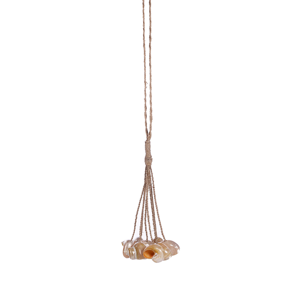 Brocha de concha - natural