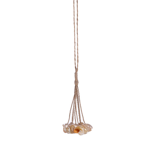 Brocha de concha - natural