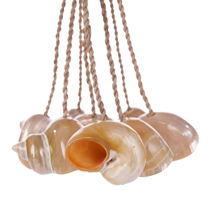 Brocha de concha - natural