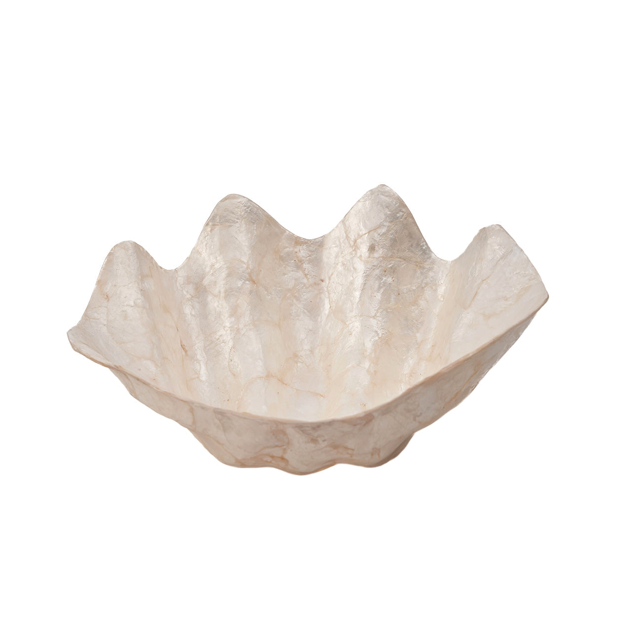 Jabonera de nácar - Blanco - M