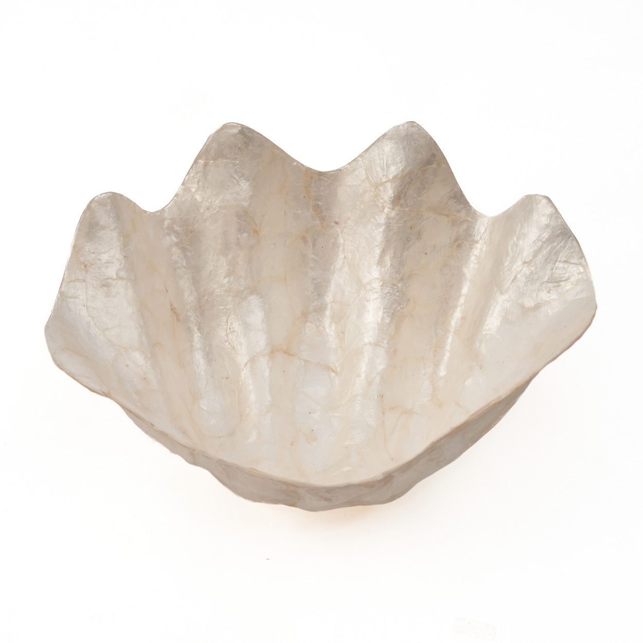Jabonera de nácar - Blanco - M