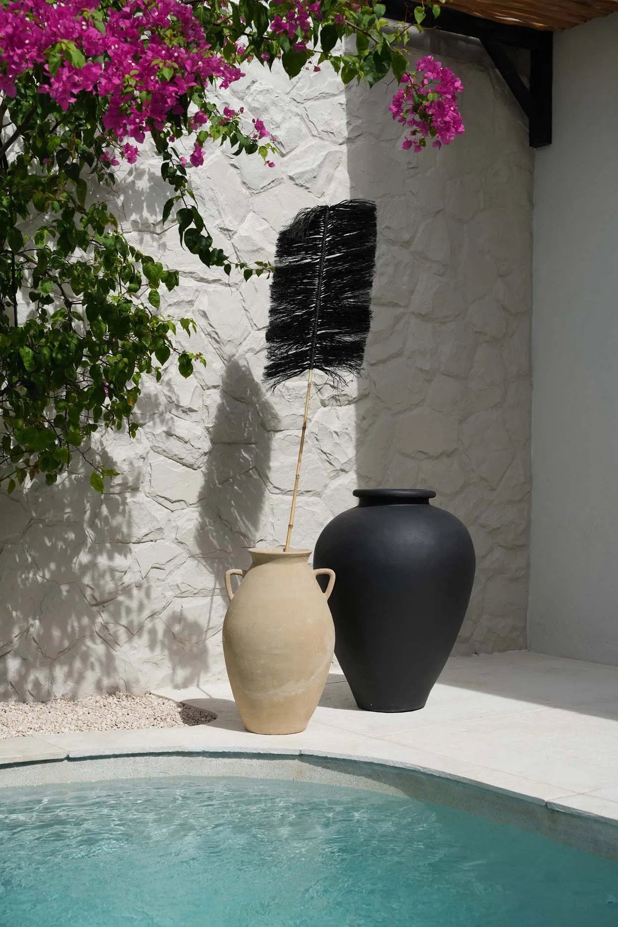 La Palmera de Rafia - Negra