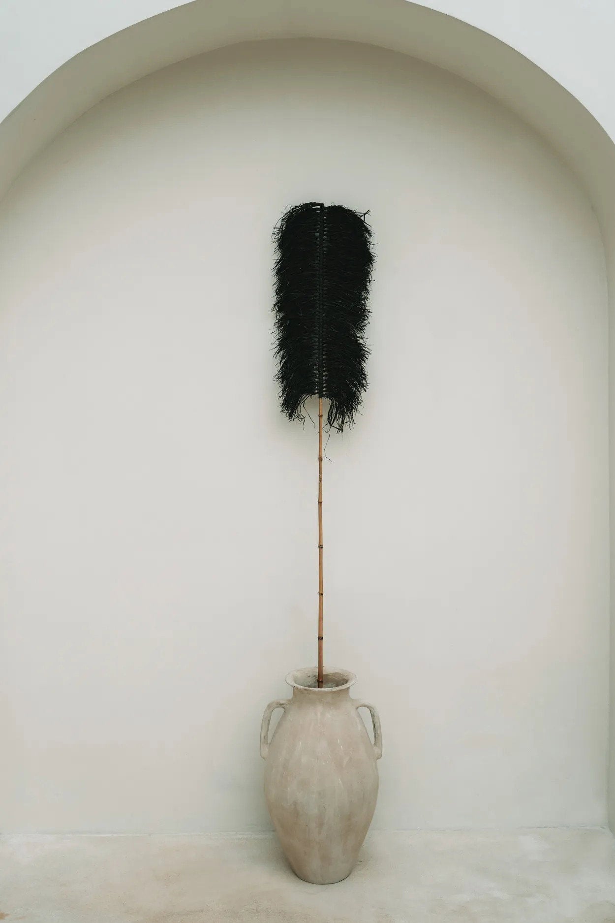 La Palmera de Rafia - Negra