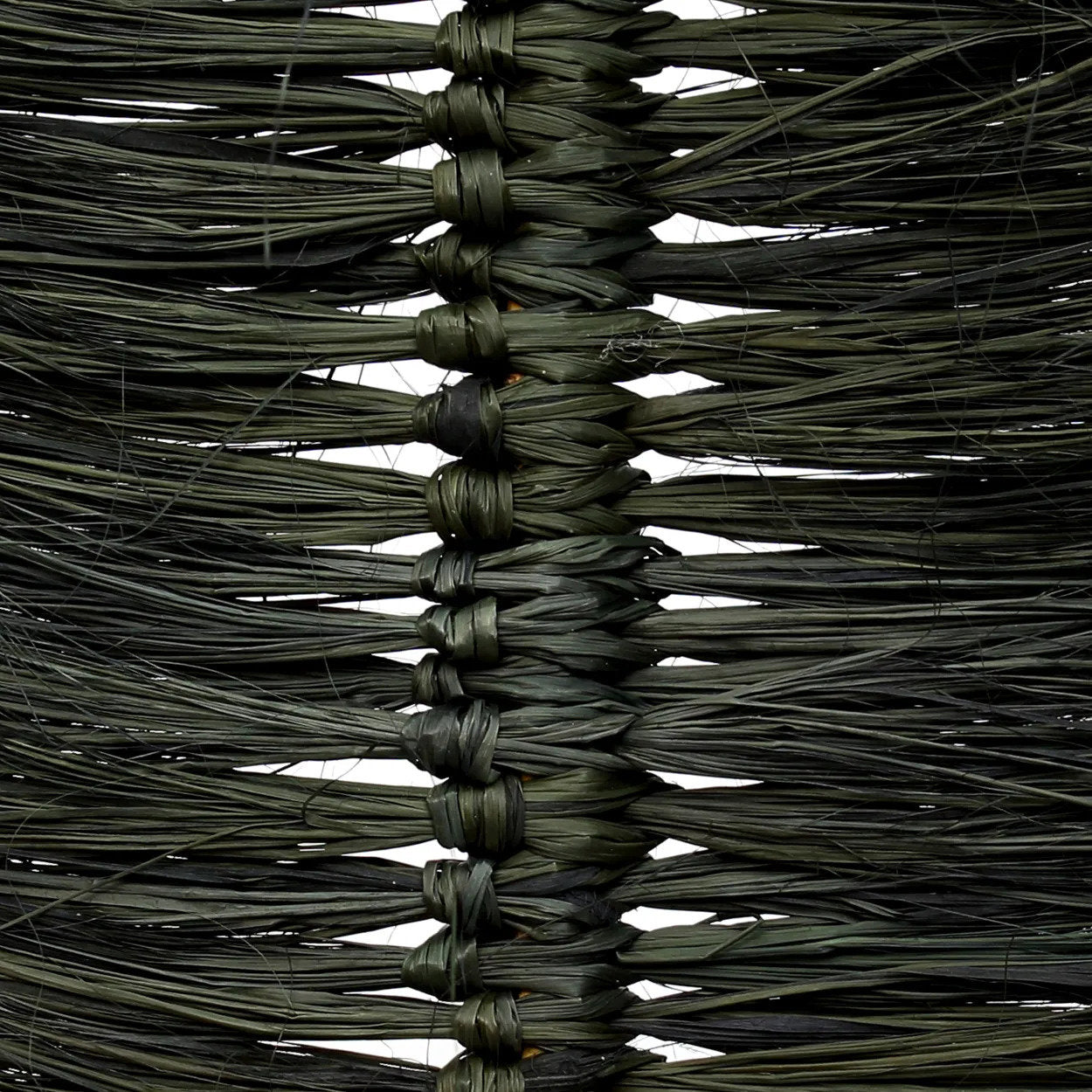La Palmera de Rafia - Negra