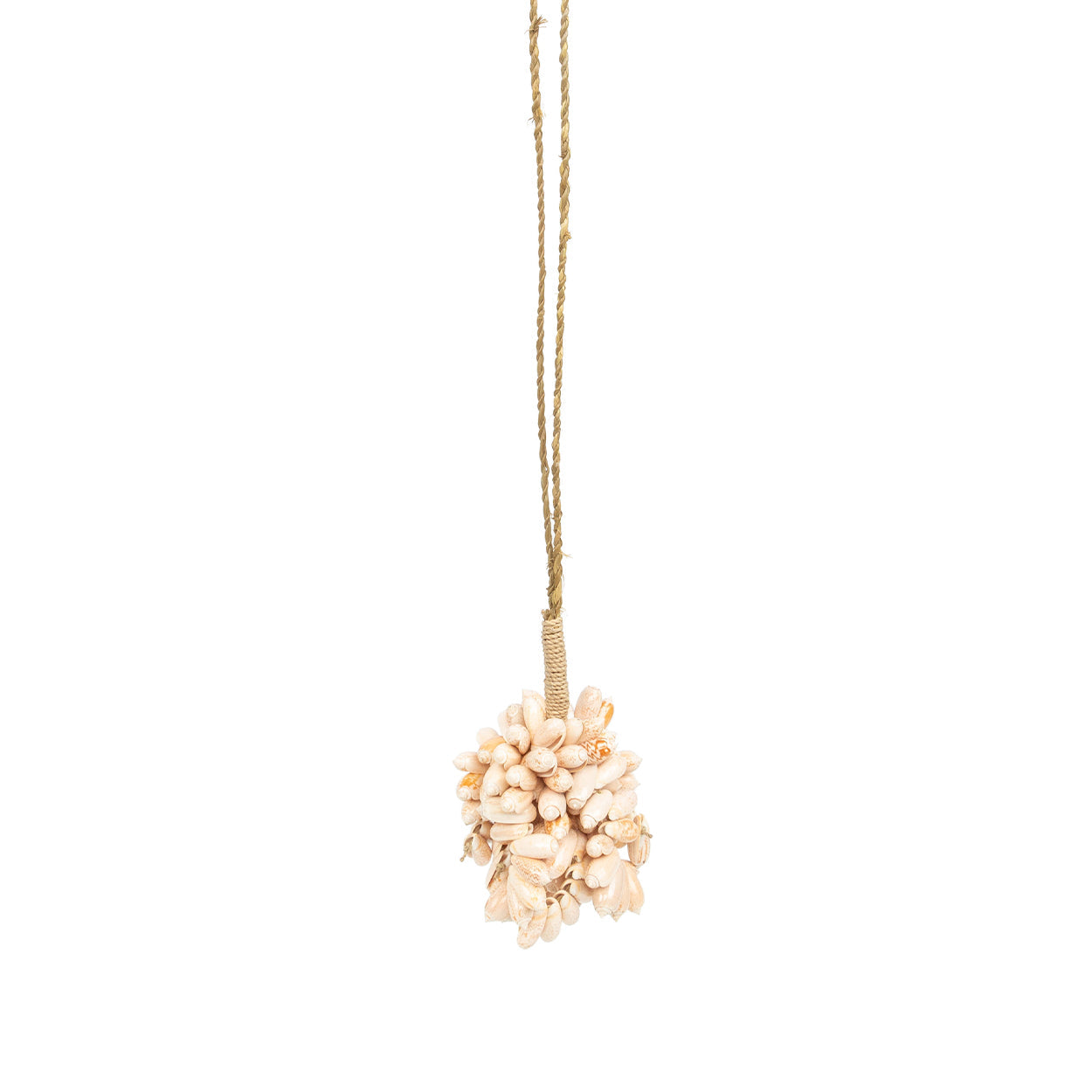 La brocha rosa con forma de concha