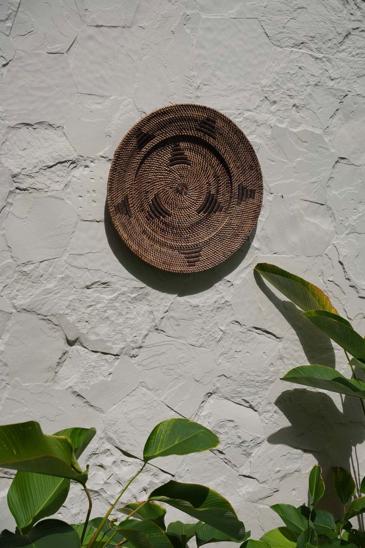 El Jasmijnbord - Marrón - M
