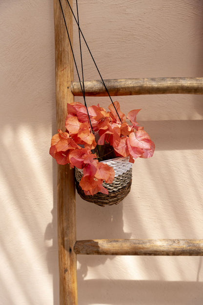 El colgador para plantas de plátano - blanco natural - S