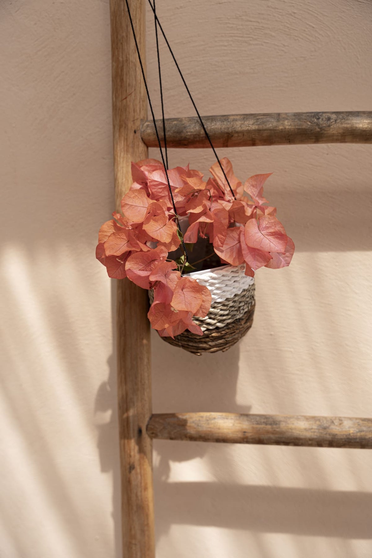 El colgador para plantas de plátano - blanco natural - S