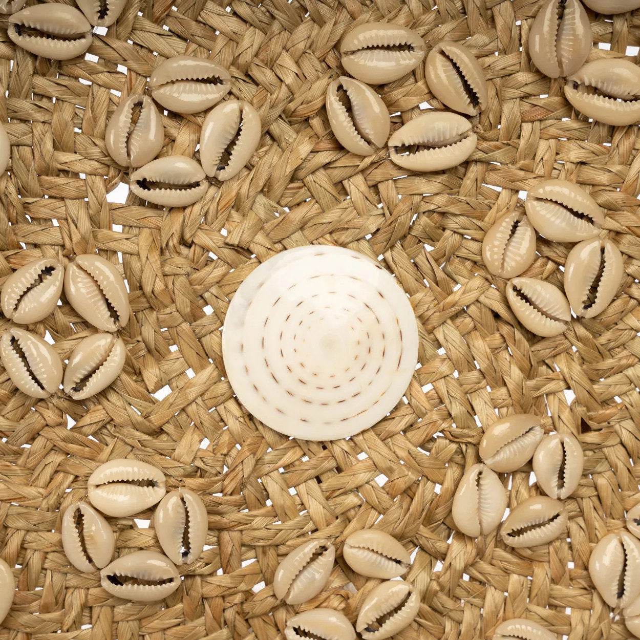 El Plato Caribe Concha - Blanco Natural - M