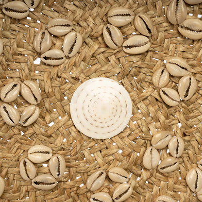 El Plato Caribe Concha - Blanco Natural - M