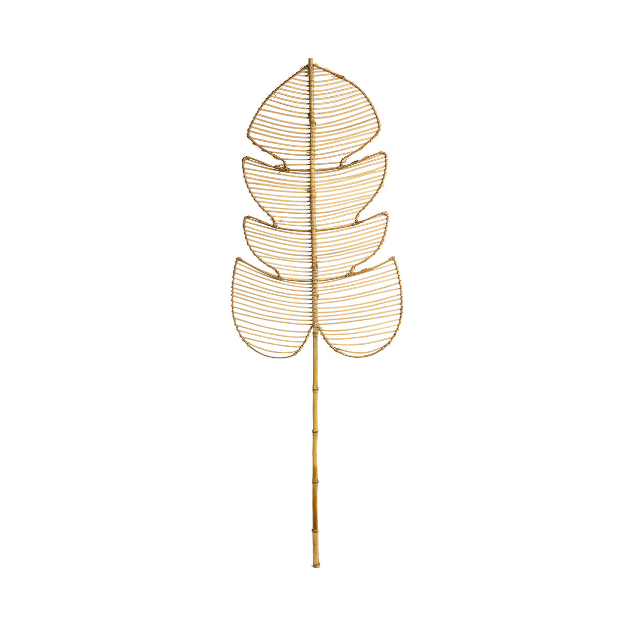 Monstera de Ratán - Natural