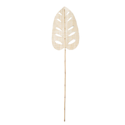 Hoja de Jacinto de Agua - Natural