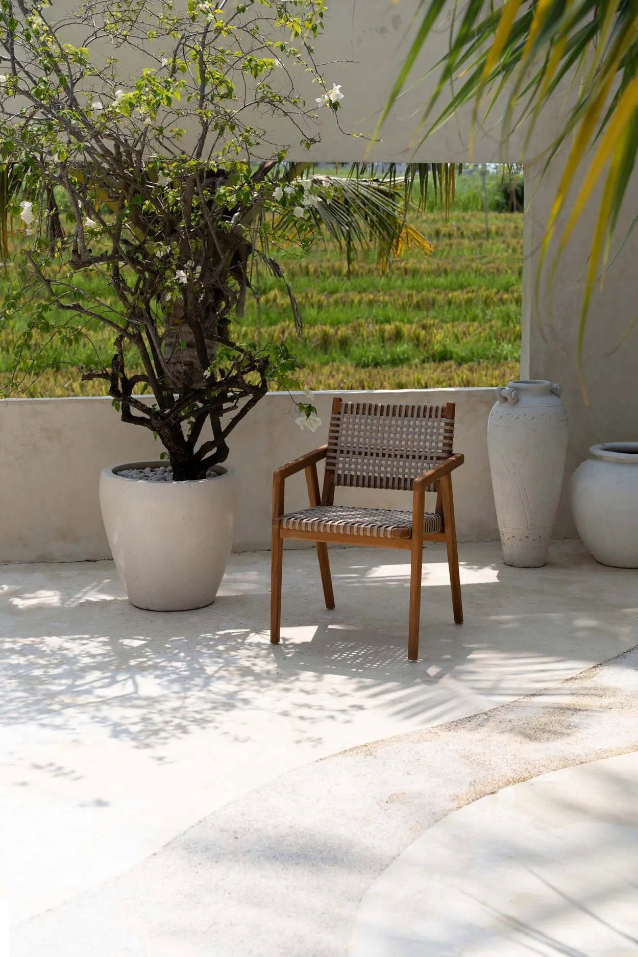 La silla de comedor Trikeri