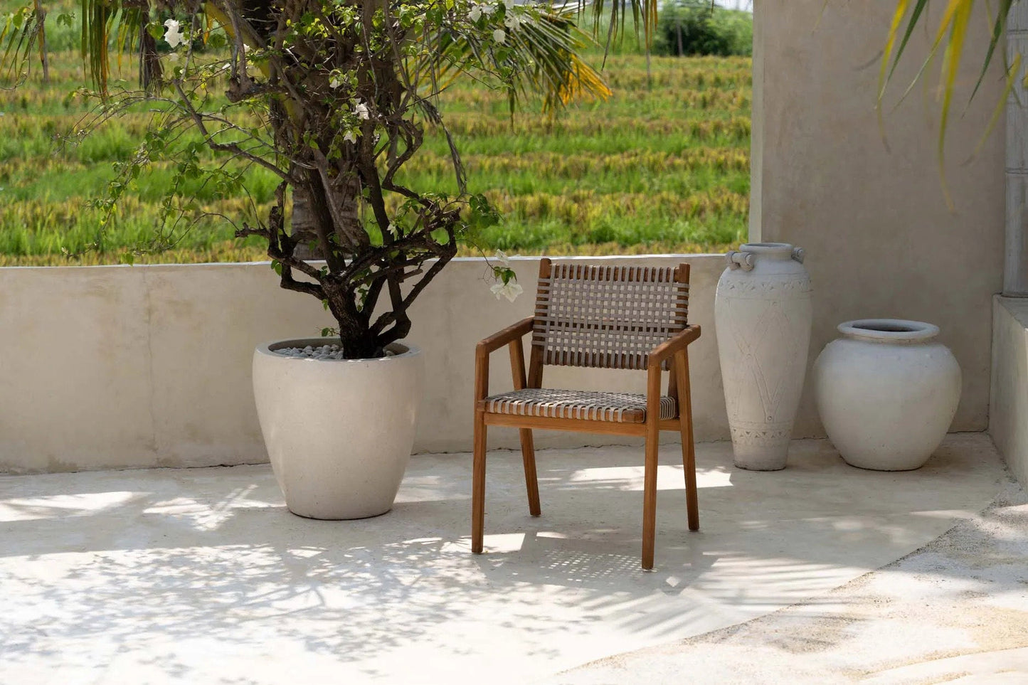 La silla de comedor Trikeri