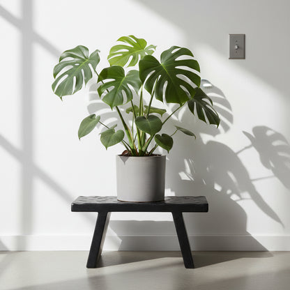 Mesa auxiliar/taburete de madera de mango negra - 40x25x20 cm